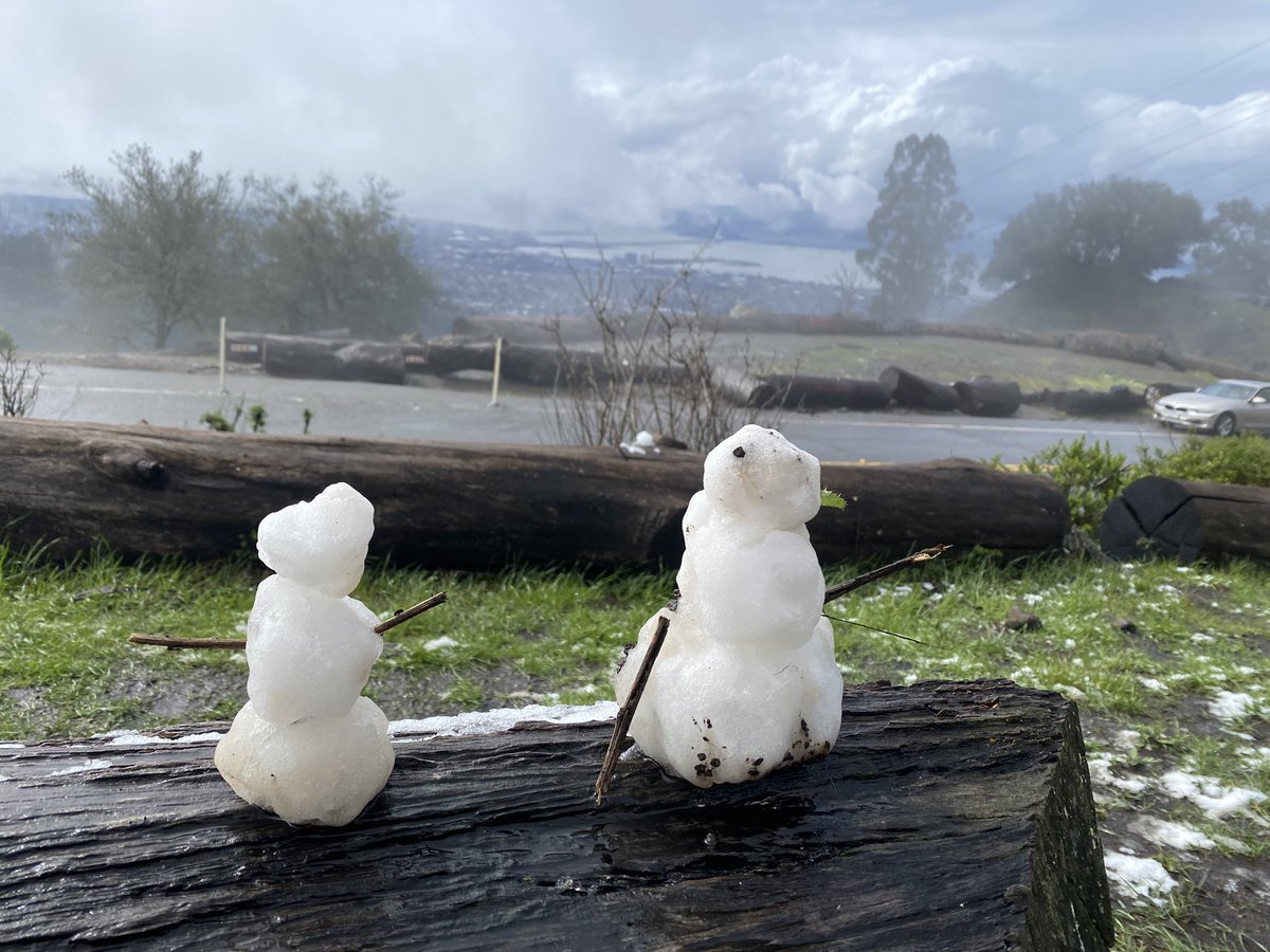 Why yes, it did snow in Berkeley, and I only had to drive 20 minutes from my house to find evidence of it