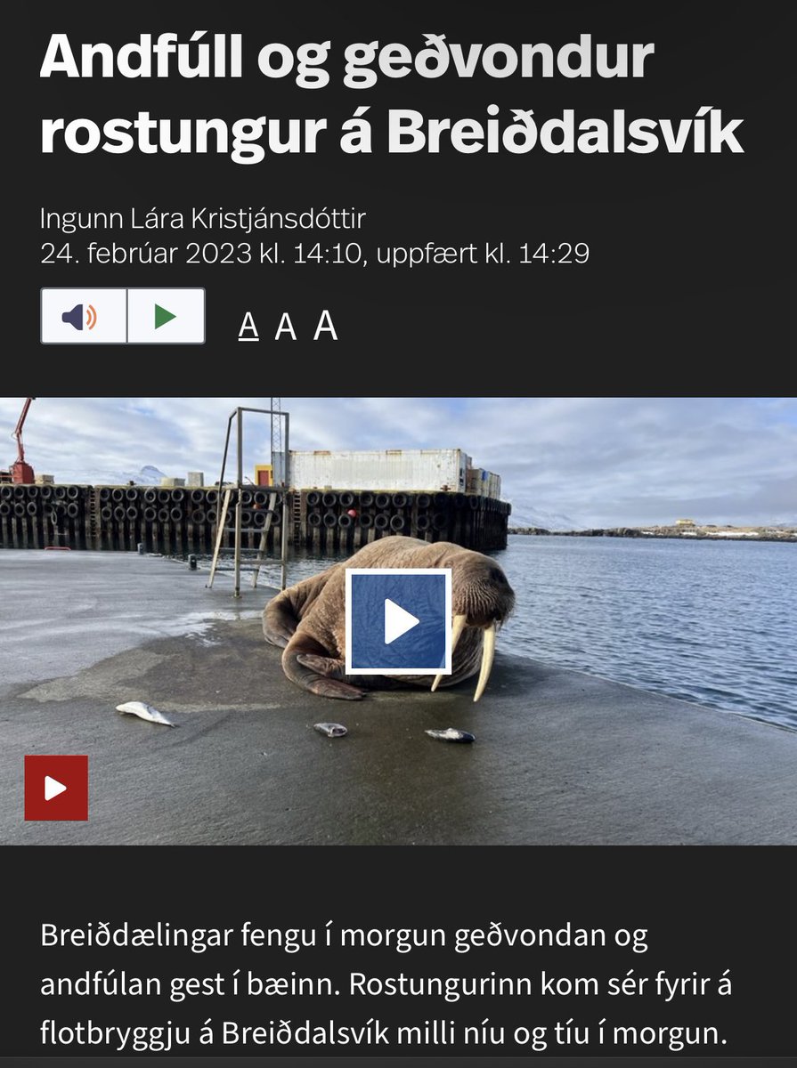 Gefið honum break, hann hefur ekkert efni á tannbursta - RUDE