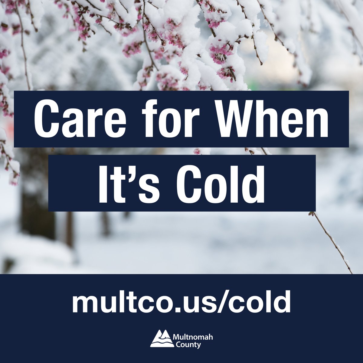 Multnomah County, OR (@multco) on Twitter photo These warming shelters are open all day & night 2/24 thru *at least* the a.m.⬇️
Arbor Lodge-7440  N Denver Ave
Salvation Army-5325 N Williams Ave
E Portland Cmty Ctr-740 SE 106th Ave
Charles Jordan  Ctr- 9009 N Foss Ave
Imago Dei-1302 SE Ankeny St
Friendly House-1737 NW 26th Ave These warming shelters are open all day & night 2/24 thru *at least* the a.m.⬇️
Arbor Lodge-7440  N Denver Ave
Salvation Army-5325 N Williams Ave
E Portland Cmty Ctr-740 SE 106th Ave
Charles Jordan  Ctr- 9009 N Foss Ave
Imago Dei-1302 SE Ankeny St
Friendly House-1737 NW 26th Ave