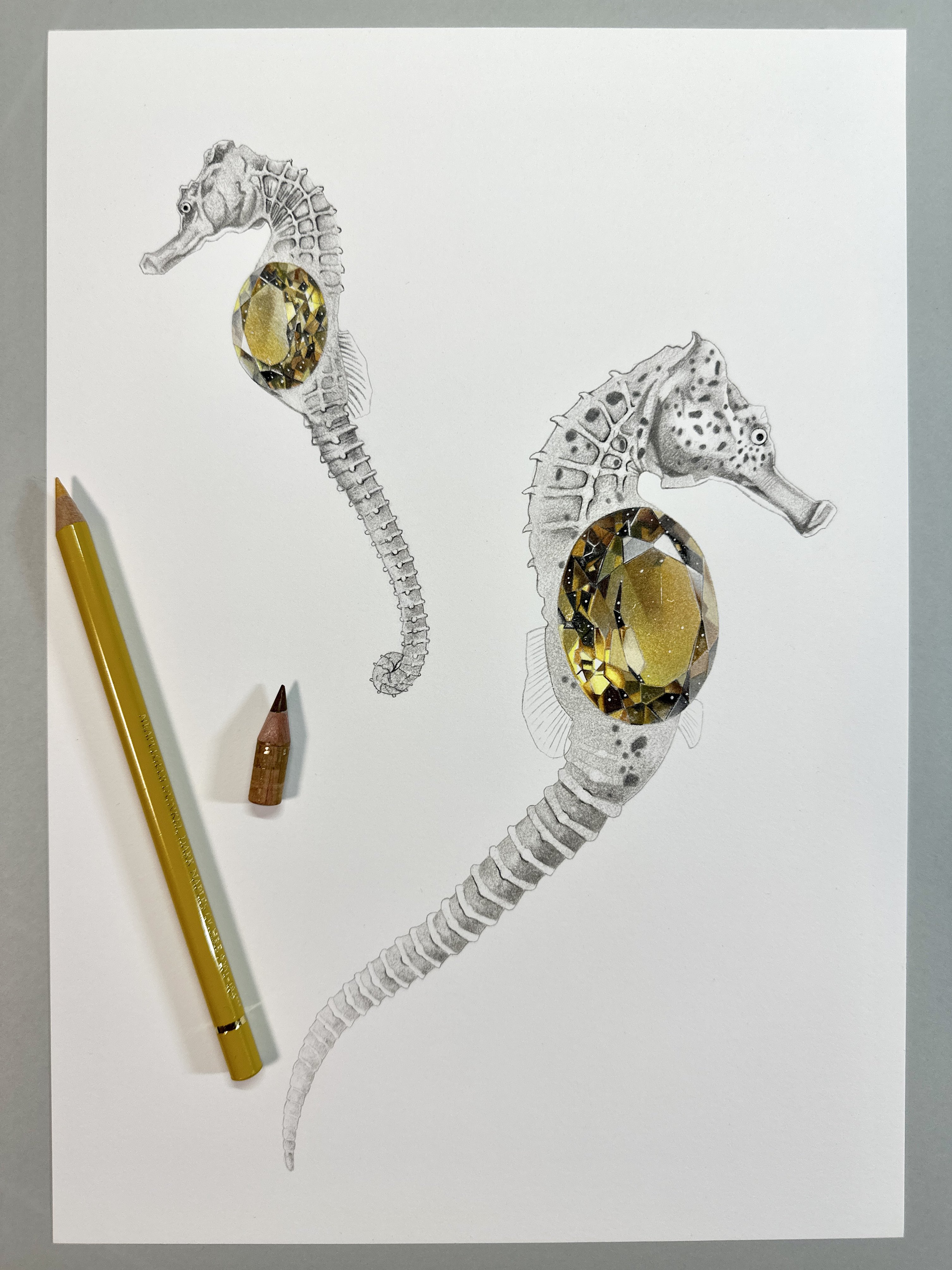 タツノオトシゴロ様専用-