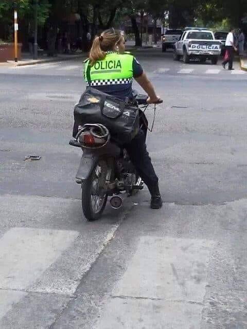 Paola MdeO tweet media