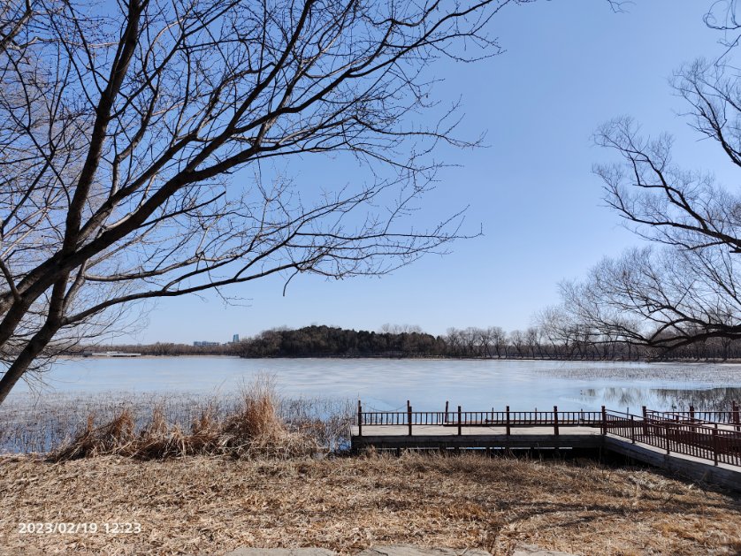 june_juneli's tweet photo. Spring is coming #Beijing https://t.co/Wq8OHUK053