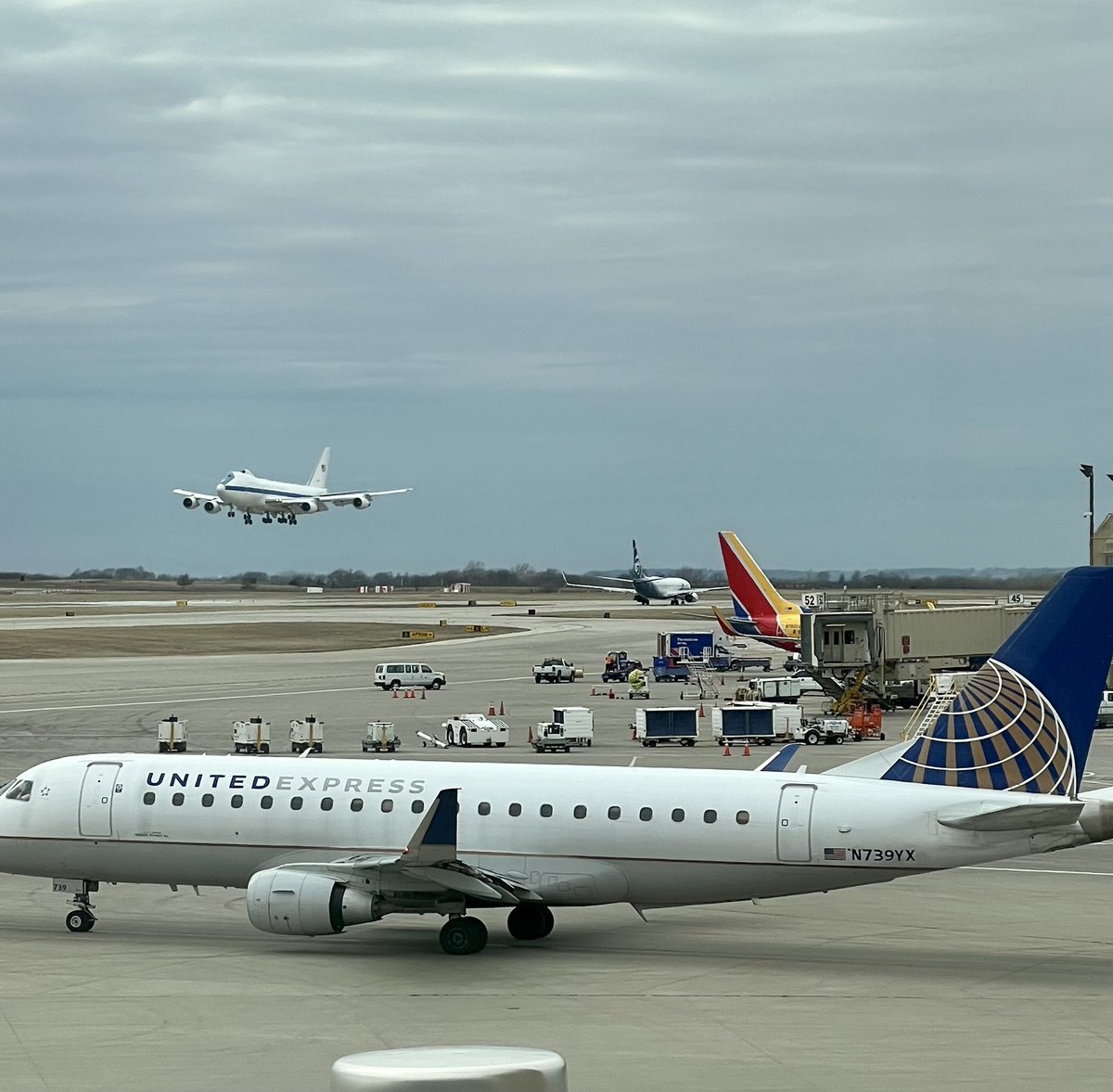 Donise Mitchell tweet media