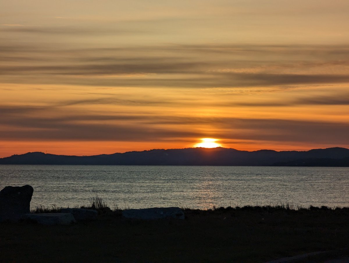 Michele (DCI Vera & DI Ash fan)🕵️♀️ tweet media