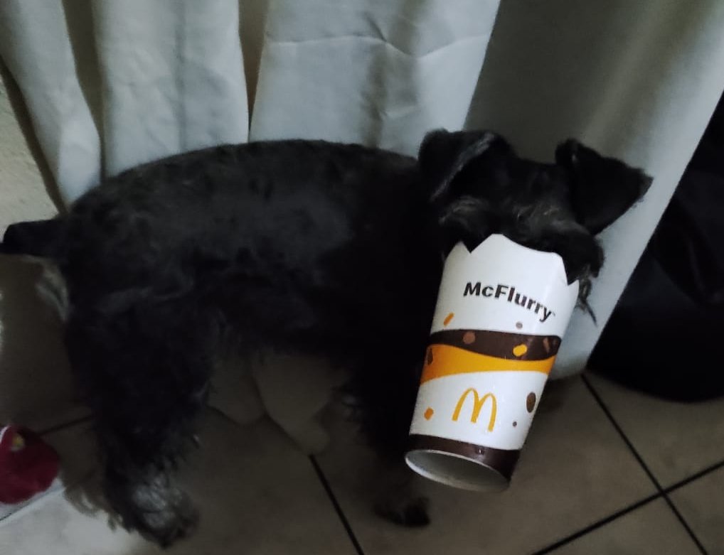 manchame's tweet photo. Hola @McGuate me encantan tus helados, me regalan uno por favor 😋 https://t.co/hjffwwclfl