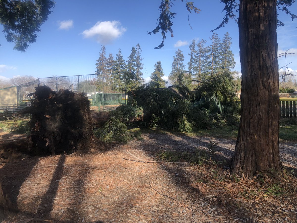SCWestsideLL's tweet photo. Help needed Saturday, Feb 25th!

Please come out and help rebuild the Farm field dugout.

The 1st base dugout of the Farm field was crushed by a tree that blew over during strong winds on Tuesday.

We want to complete this before Opening Day next weekend.

Thanks! https://t.co/f6UrFECWRO