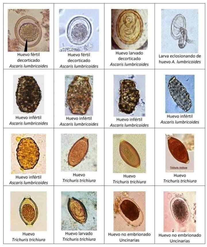 Ang ganda mo pero ang hirap mo aralin.