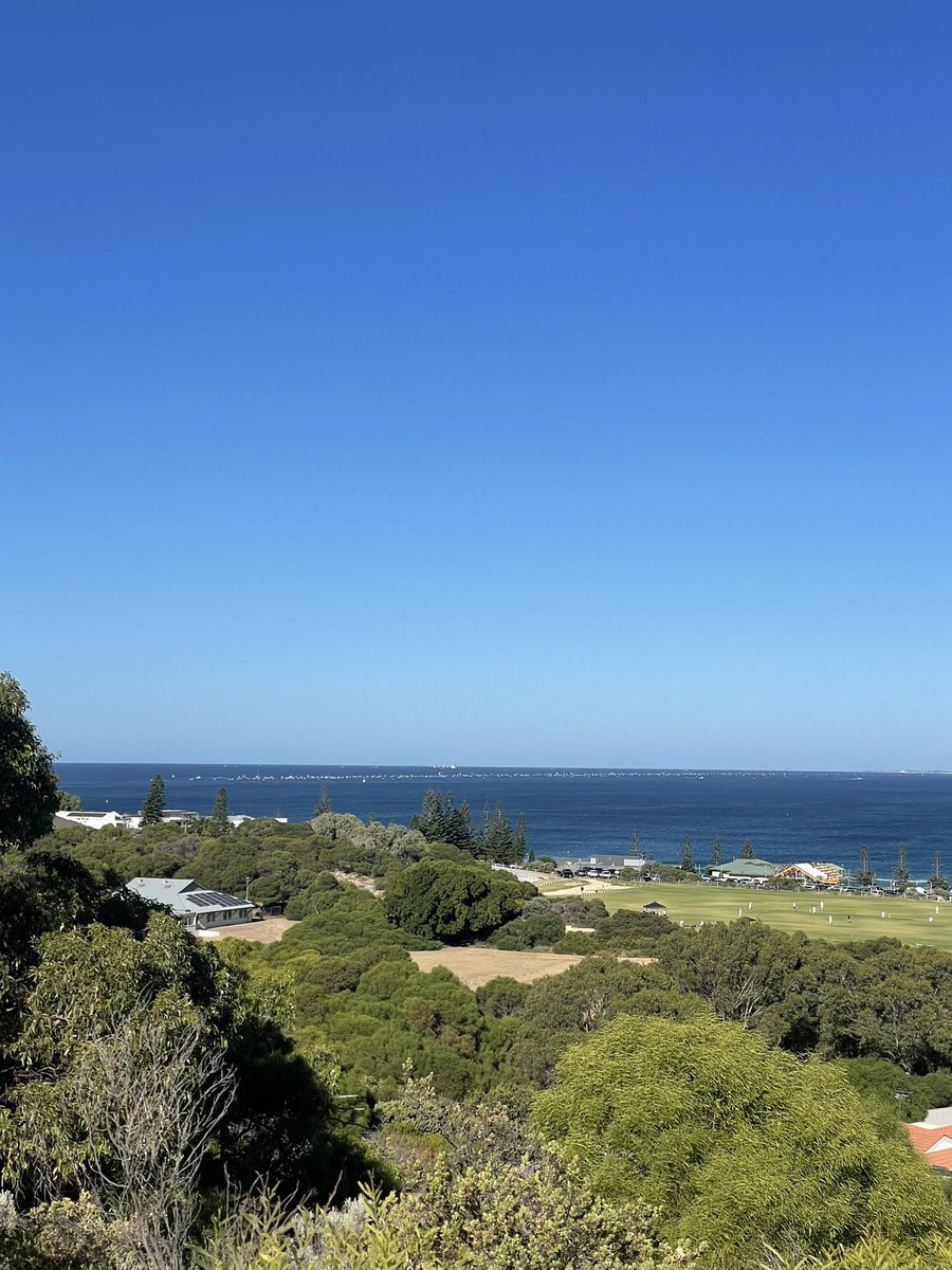 First time for many years I haven’t been in the Congo line swimming to Rottnest this morning!! (Zoom in)  Cracking day and a chance for the record to be broken….