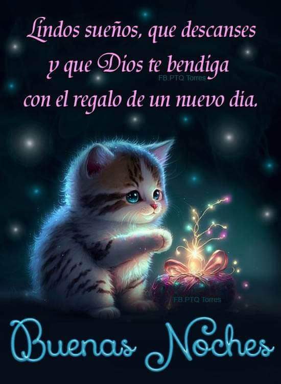 Maria del Socorro Segura Granados (@mariade81176079) on Twitter photo 