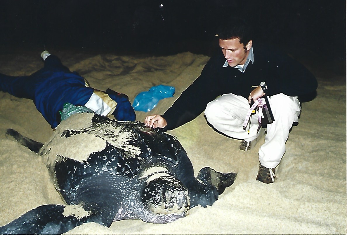 MongabayLatam's tweet photo. Un estudio indica que la tortuga laúd podría desaparecer en los próximos 60 años si no se fortalecen sus medidas de conservación. Frente a este panorama, un equipo de más de 120 miembros lucha por proteger a la especie. Hablamos con el biólogo Bryan Wallace sobre el tema. 1/9🧵⬇️ https://t.co/Xqs0imZ2Rj
