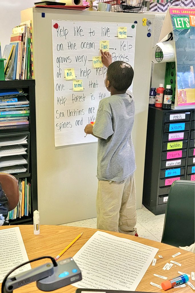MrsSpillman1's tweet photo. We finished our Ocean Ecosystem projects today!! 🪸🐠 This morning, we used last week's cloze reads to complete our writing and put the finishing touches on our models this afternoon!!! I'm so proud of these Huskies!🫧 #BrightAtBriarwood https://t.co/Gqad5R2SgY
