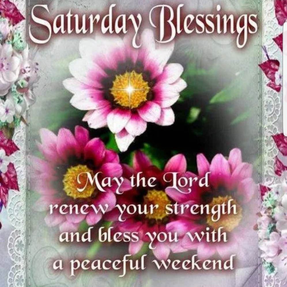 CarmelMMartin8's tweet photo. Hey, hey, it's Saturday! Good morning, everyone. Have a relaxing weekend. Stay safe, happy and healthy.

#GoodMorningEveryone  #GoodMorningGreetings #HappySaturday #SaturdayGreetings #StayHappy #SaturdayBlessings #StaySafeStayHealthy #God #HappyWeekend #WeekendGreetings #GodBless https://t.co/o6lLv8eg5d
