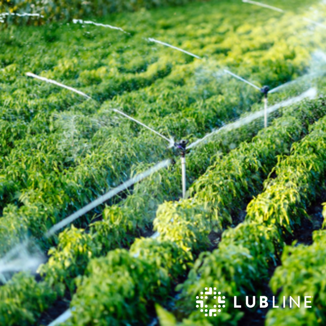 lublineusa's tweet photo. #LubDust es un aceite supresor de polvo, diseñado para eficientemente liberar el aire de impurezas en entornos controlados tales como sistemas de riego y plantas industriales.
:
#lubline #AceitesBases #Houston https://t.co/lruCvQRWPy