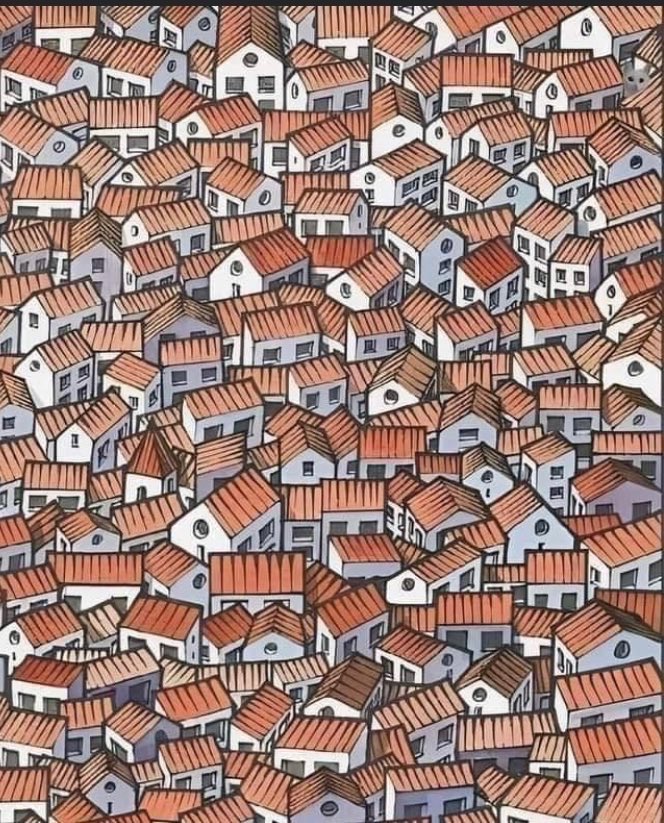 Susan Park 🐻🇰🇷🇦🇺🧡 on Twitter "Find my pussy"