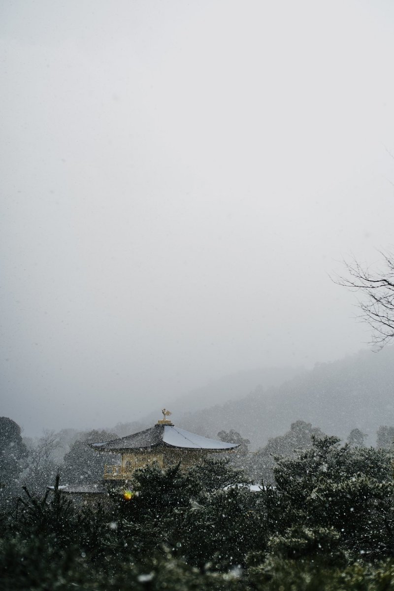 viability_cafe's tweet photo. 金閣寺正面
金閣寺背面
#京都 #金閣寺 #国内旅行 #kyoto https://t.co/wTYssktVvs