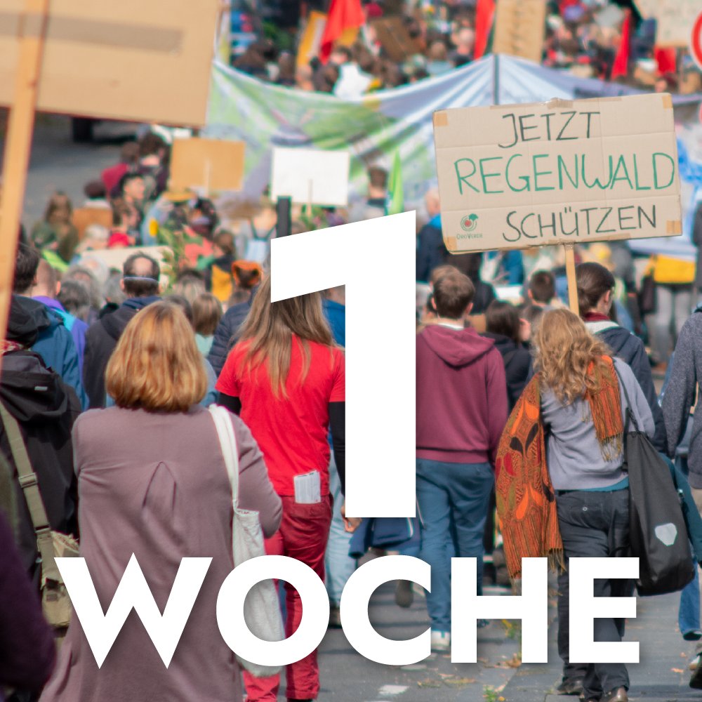 🔥Nur noch EINE Woche bis zum Global Strike🔥

Die Klimakrise macht keine Kompromisse - deswegen gehen wir am 3.3. auf die Straßen. Es kann so nicht weitergehen! ✊

👉DU willst unterstützen? 
-> Spread the word!
-> Sei Ordner*in (18+)
-> Sei einfach dabei 💚

#TomorrowIsTooLate