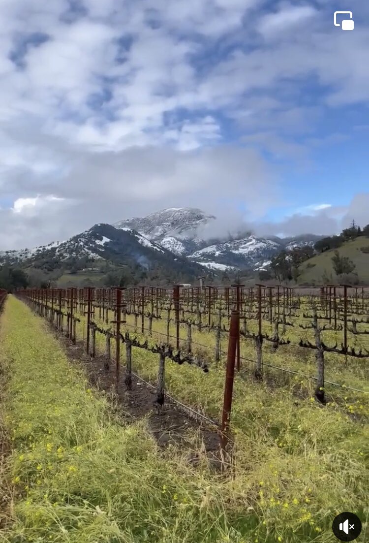 Corby Zone on Twitter "Today’s snow in Calistoga at the northern end