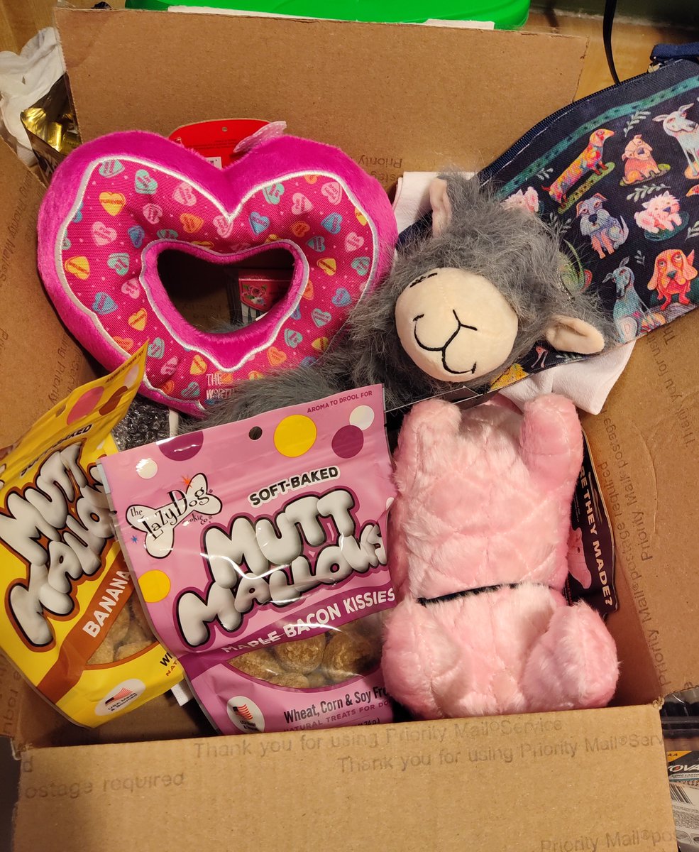 Oh my, Ginger and I just got a Valentine's box from our sweet friends @TNflattop. Thank you so much!!! Ginger is excited about all the treats and toys. I appreciate all the things for me too.💗💗💗💗💗