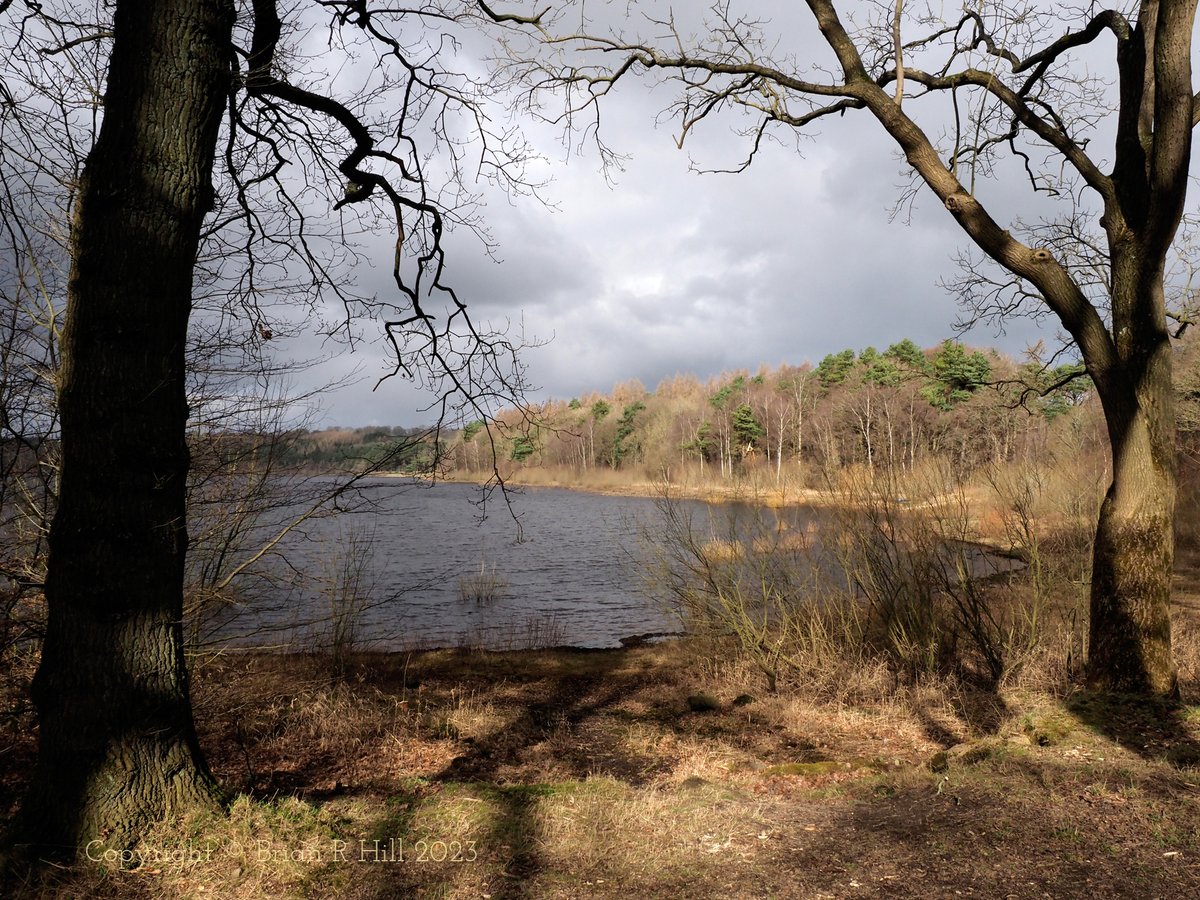 Yorkshire_Image's tweet photo. Swinsty @ThePhotoHour @rtArtBoost @FotoRshot #Swinsty #WashburnValley #YorkshireDales #photography #landscapephotography https://t.co/FjIW5T7U4l