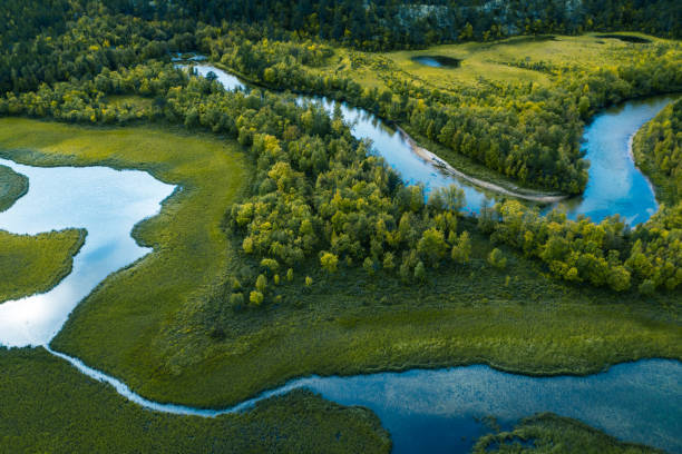 TheTreeDoctor4's tweet photo. Fun fact: Trees improve water quality by slowing &amp; filtering rainwater. They also protect aquifers and watersheds. https://t.co/rd0fCBTYrj