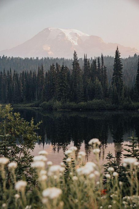 KravAnni's tweet photo. serene. https://t.co/WUjQUfssKU