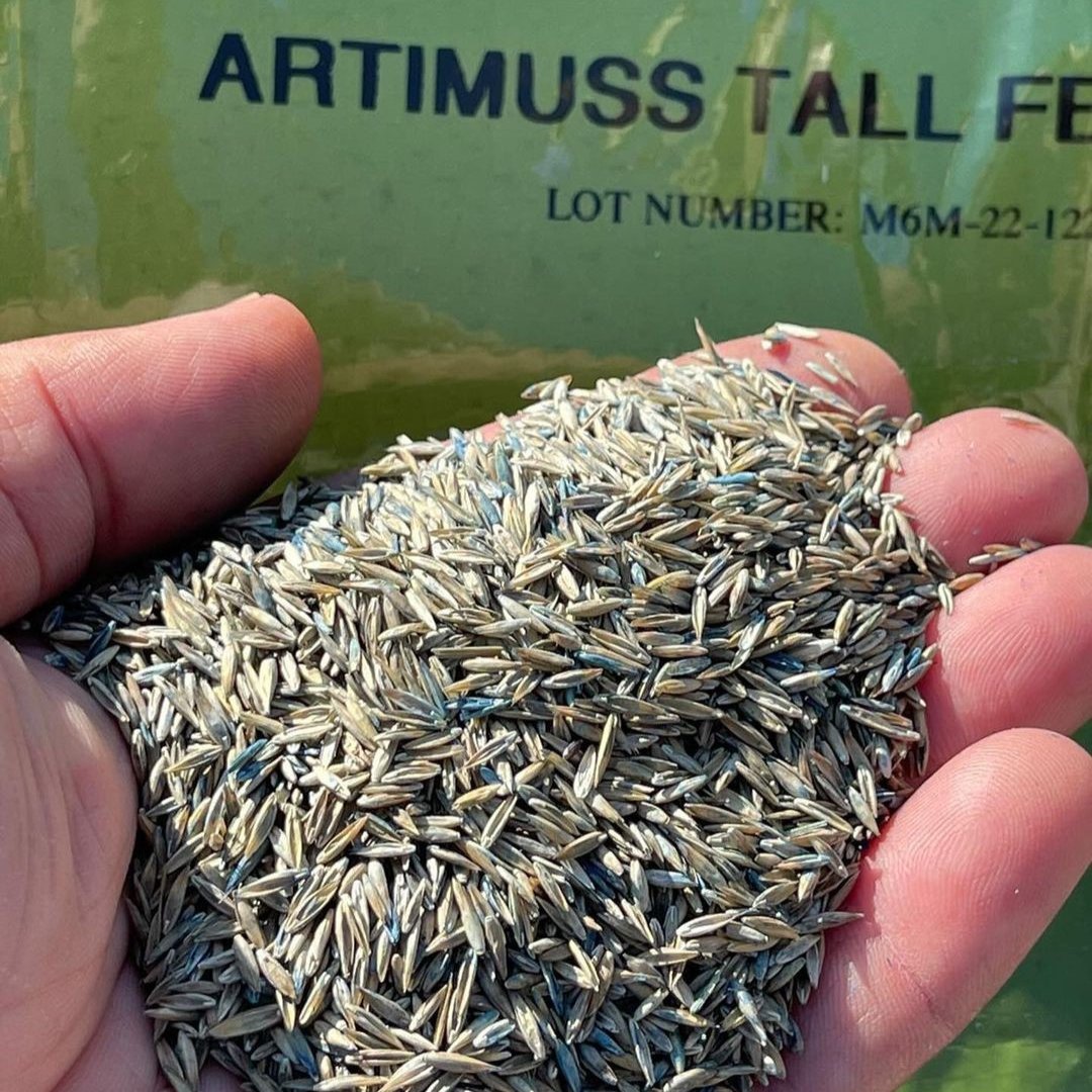 heritageppg's tweet photo. Did you know our turf seed is treated with Gravity SL PGS? While you may not be able to physically see PGS on the seed, it is definitely not something to be overlooked!

Gravity PGS, a unique blend of plant growth hormones, is designed to stimulate root growth and plant health. https://t.co/a4Iyz51gsJ