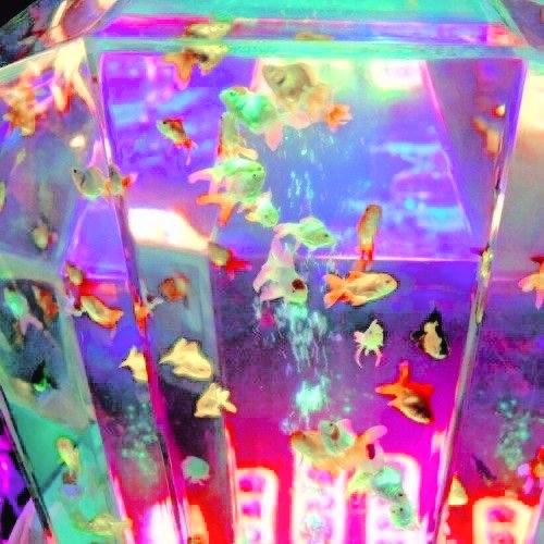 stay___chic's tweet image. Queríamos vernos igual de bonitas #𝓵ik𝑒𐦍𝕮𝕃ℂ ू  . ۫ 🌈 por ende, tuvimos que sacarnos los mejores trapitos para andar lo más presentable posible en el #c𝕣𝑦tic𝑎𝓵𖤍𝚌omǝ𝚋ack y que las bebitas tiren ojo hacia nosotras. ¡Fighting! ( ´͈ ॢꇴ `͈ॢ)