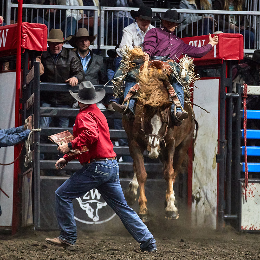 Pro Rodeo Canada on Twitter: 