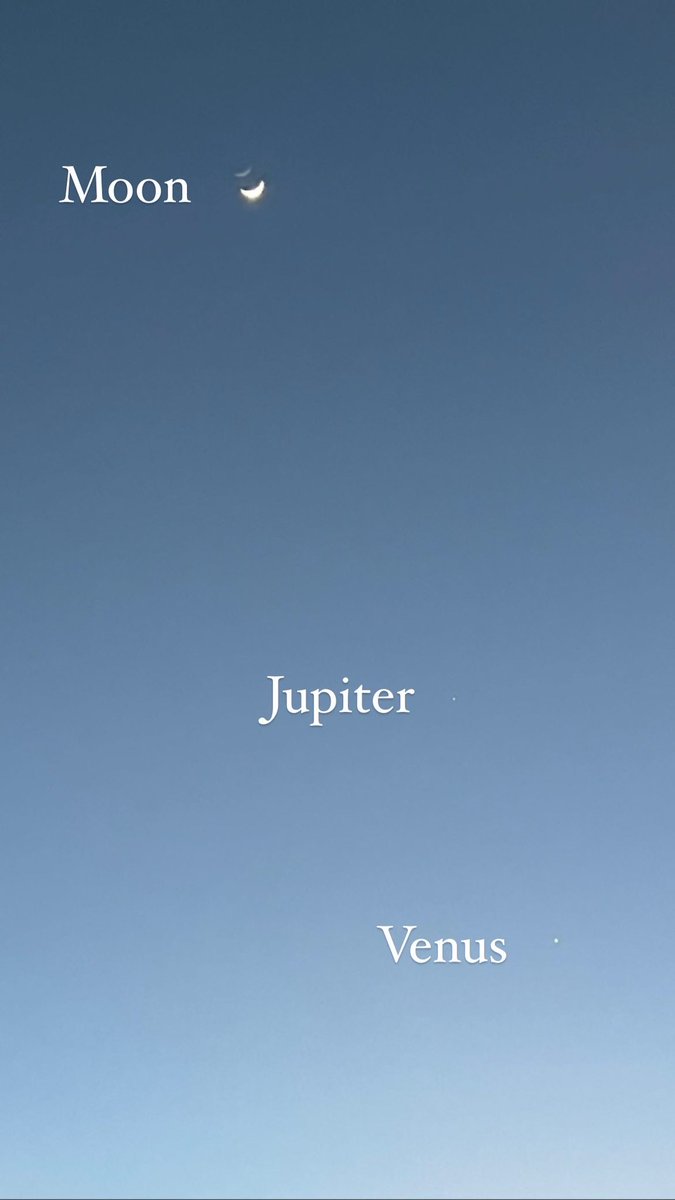 Claire Dannenbaum tweet media