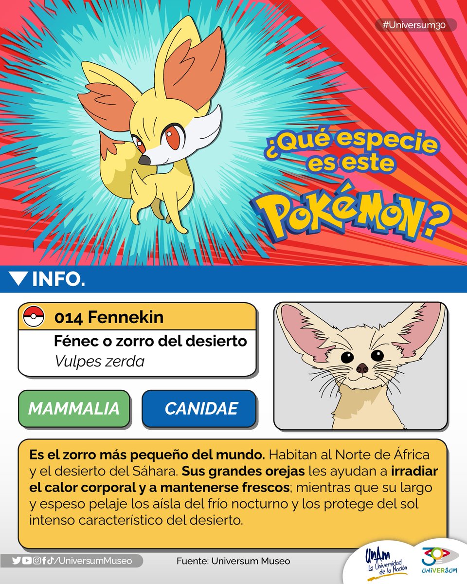 UniversumMuseo's tweet photo. #UnDíaComoHoy  es el Día de Pokémon, ¿te has preguntado alguna vez de qué especies se tratan? Checa aquí 👇
#Universum30 https://t.co/UvaMQtA89e