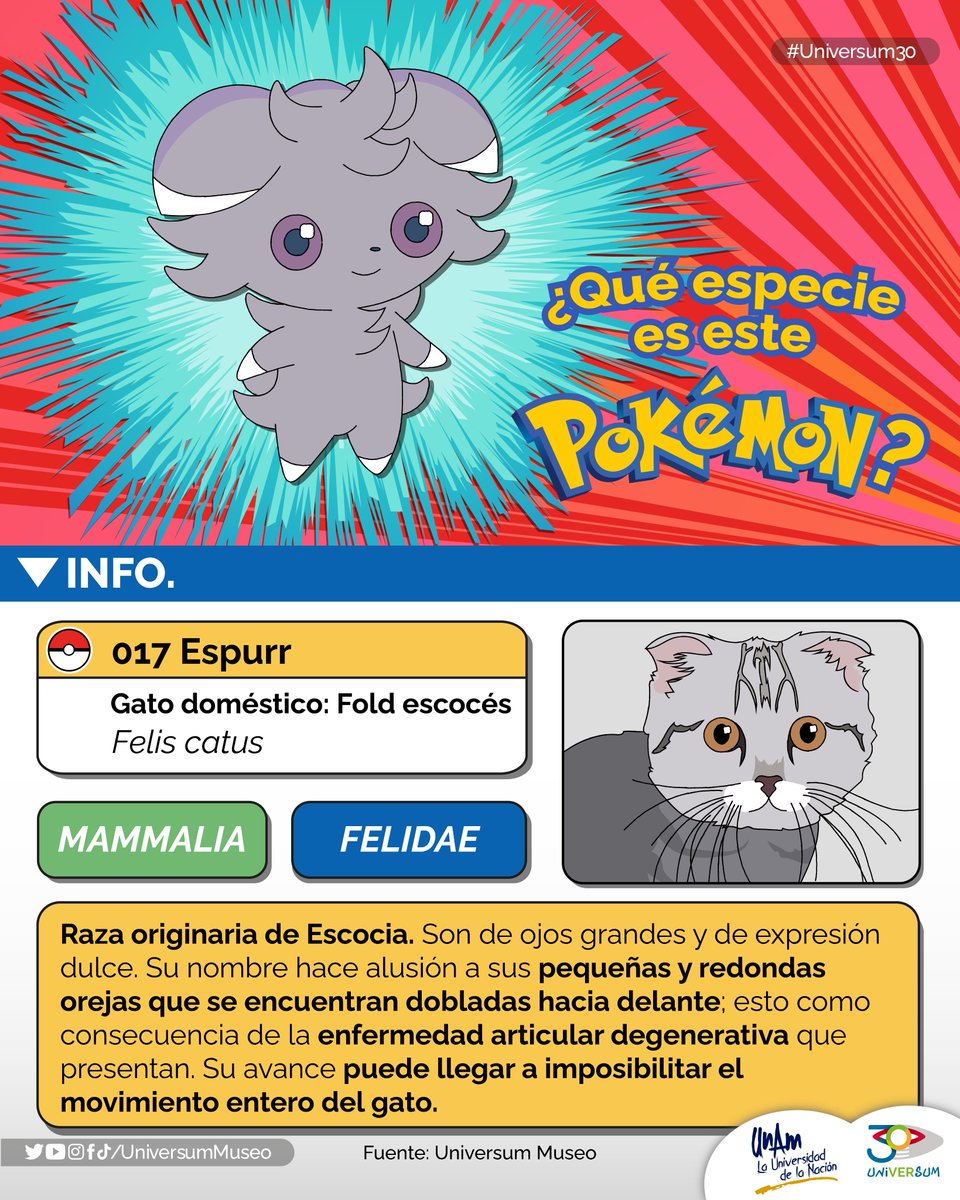 UniversumMuseo's tweet photo. #UnDíaComoHoy  es el Día de Pokémon, ¿te has preguntado alguna vez de qué especies se tratan? Checa aquí 👇
#Universum30 https://t.co/UvaMQtA89e