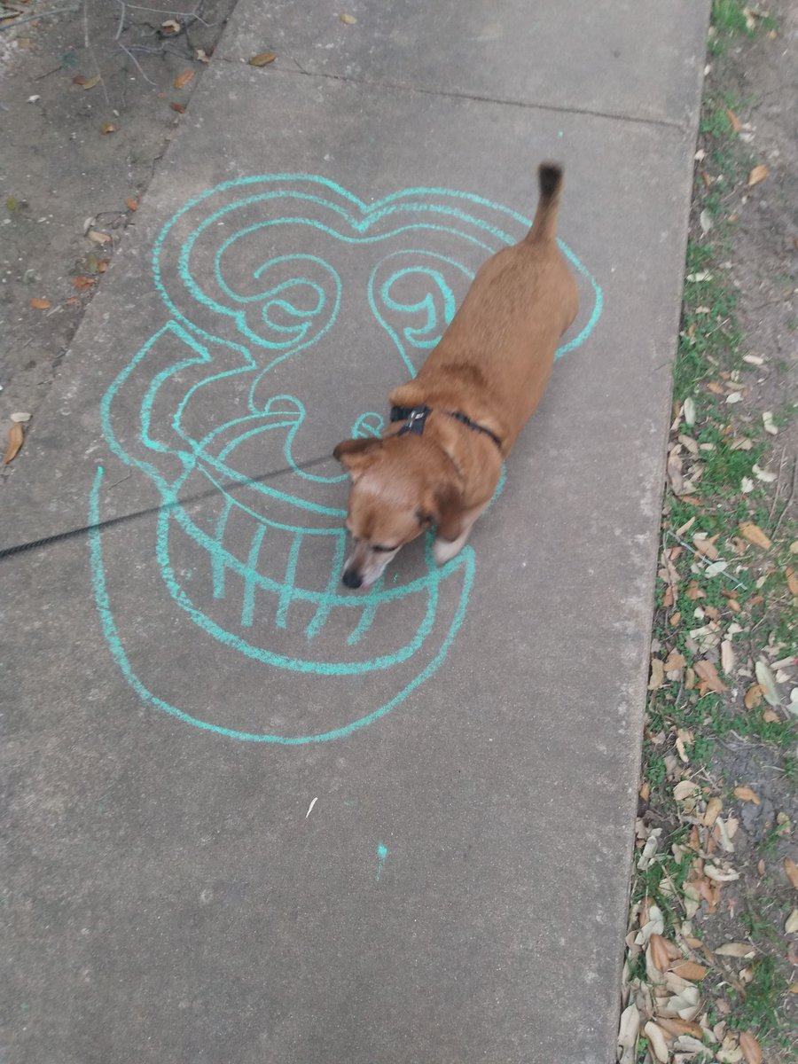 MadDashiell's tweet photo. My partner was walking our Puppy an took a picture of this. When they got back an showed it to me they said they want to be friends with the person who drew this. I smiled at them an said well you are, I found a piece of chalk an drew that 2 days ago. #DailyBuddy βΊοΈ https://t.co/RimU2JphkG