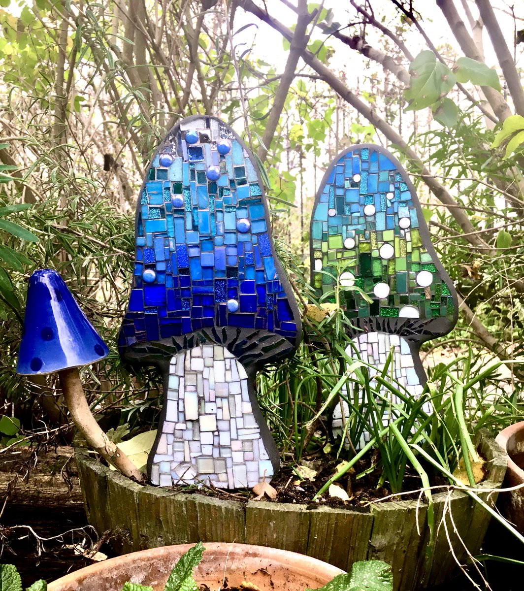 Make room for mushrooms!

Handmade, from the cutting of the shape to the final polish - decorated with hand cut mosaic glass and mirror, choose your size, shape and colours.

rockdoveart.etsy.com

#UKGiftAM #mushroom #MothersDay #GardenersWorld #GardeningTwitter