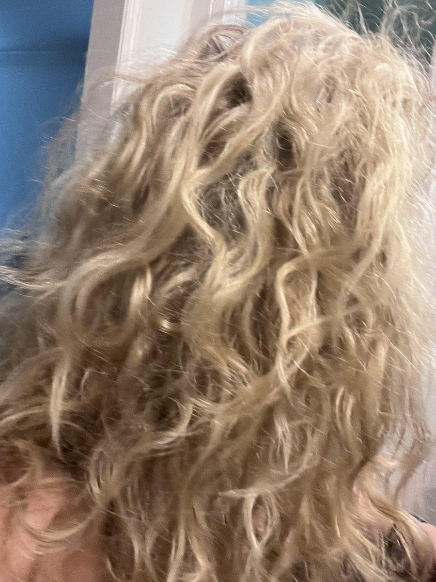 starkey_ellen's tweet image. Do you have curly or straight hair? Mines is super curly, BUT some days I change it. #funwithhair #curlyhair #theshrinkingstarkeys