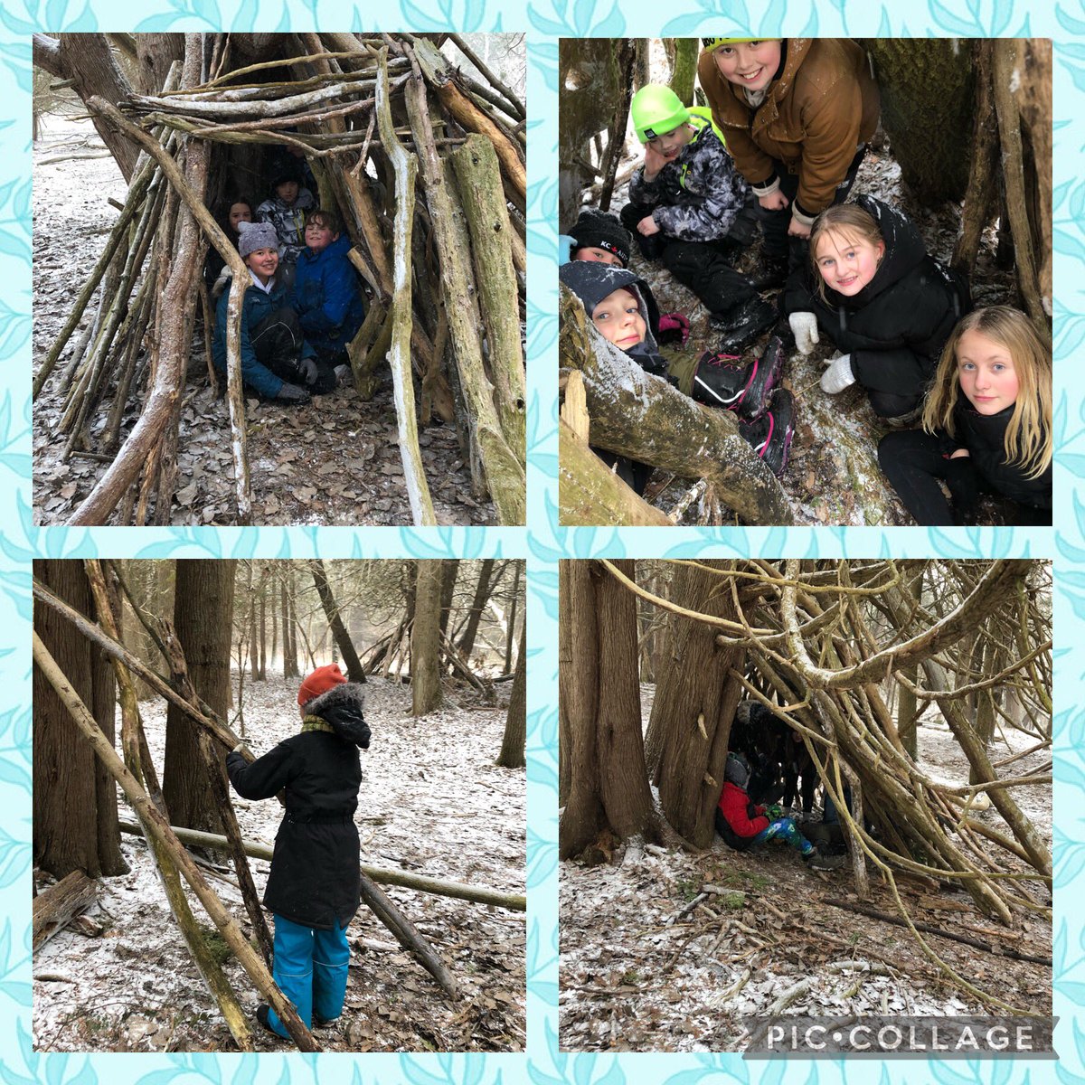 Miranda McKinnon tweet media