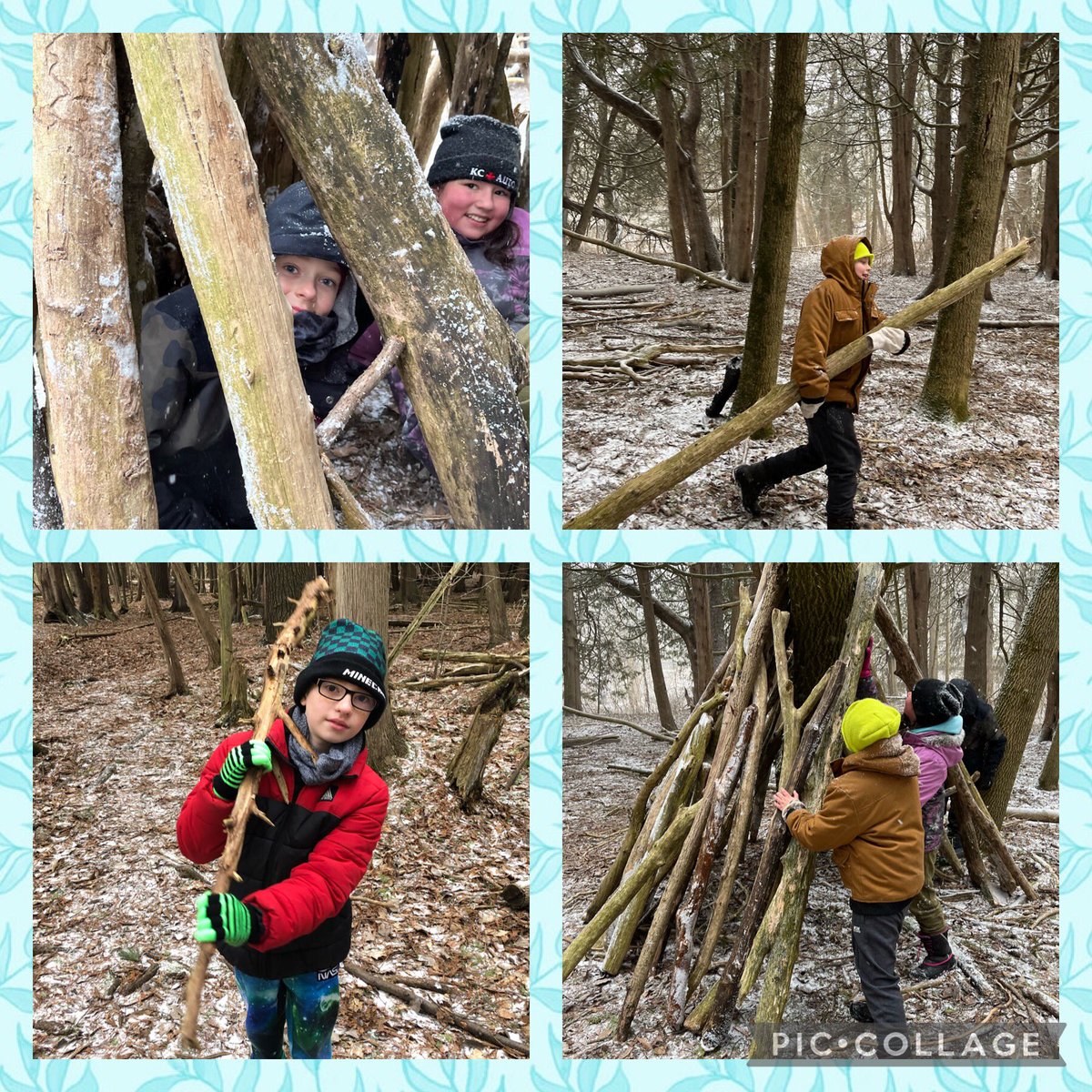 Miranda McKinnon tweet media