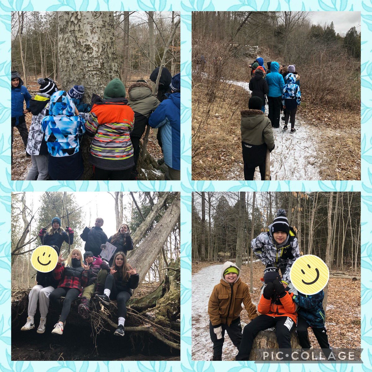 Miranda McKinnon tweet media