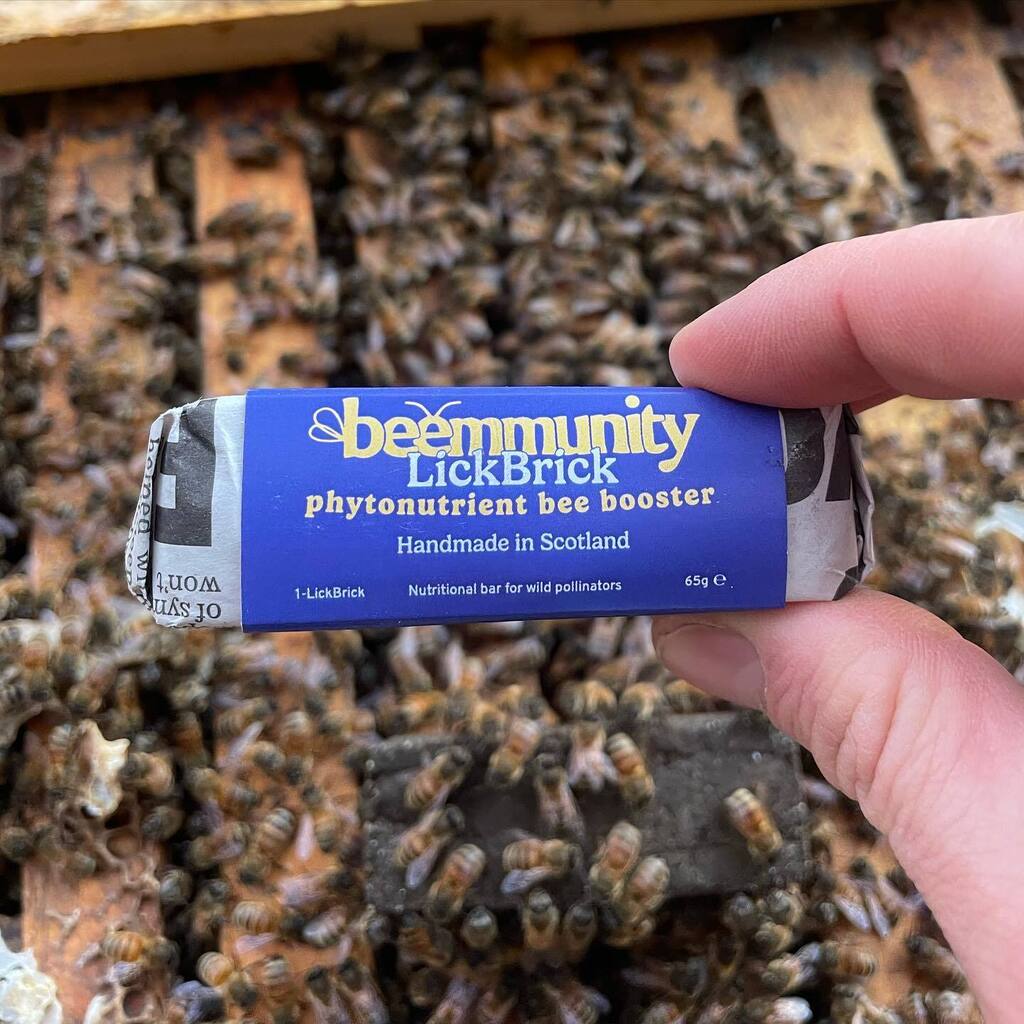 Beemmunity tweet media