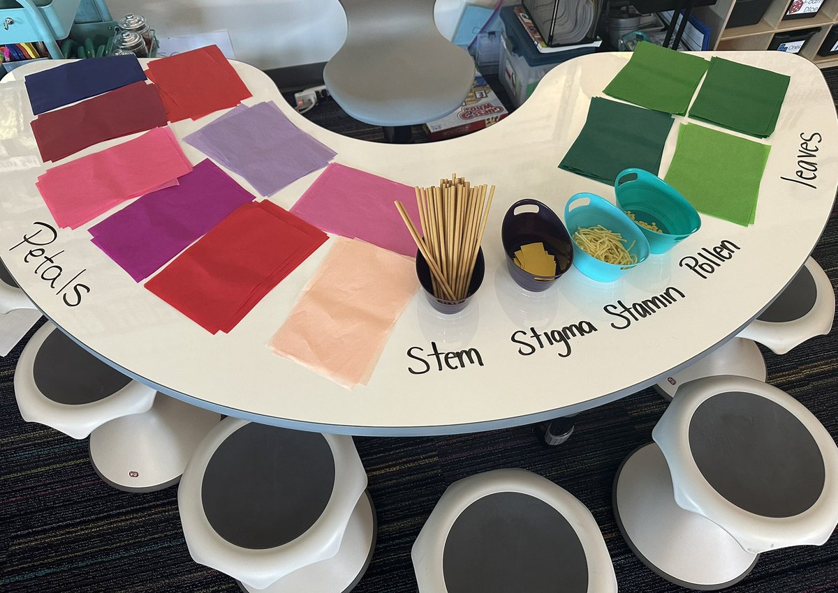 Ms. Gizzi tweet media