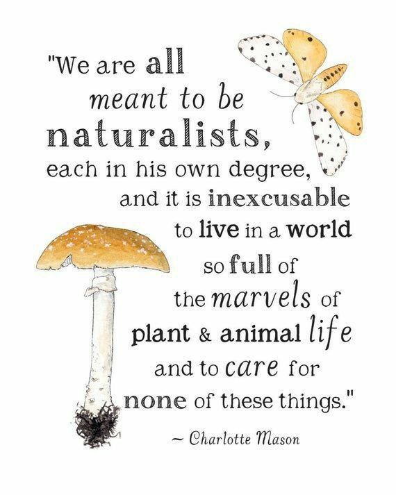 Fuzzy McLogic (@fuzzymclogic) on Twitter photo 