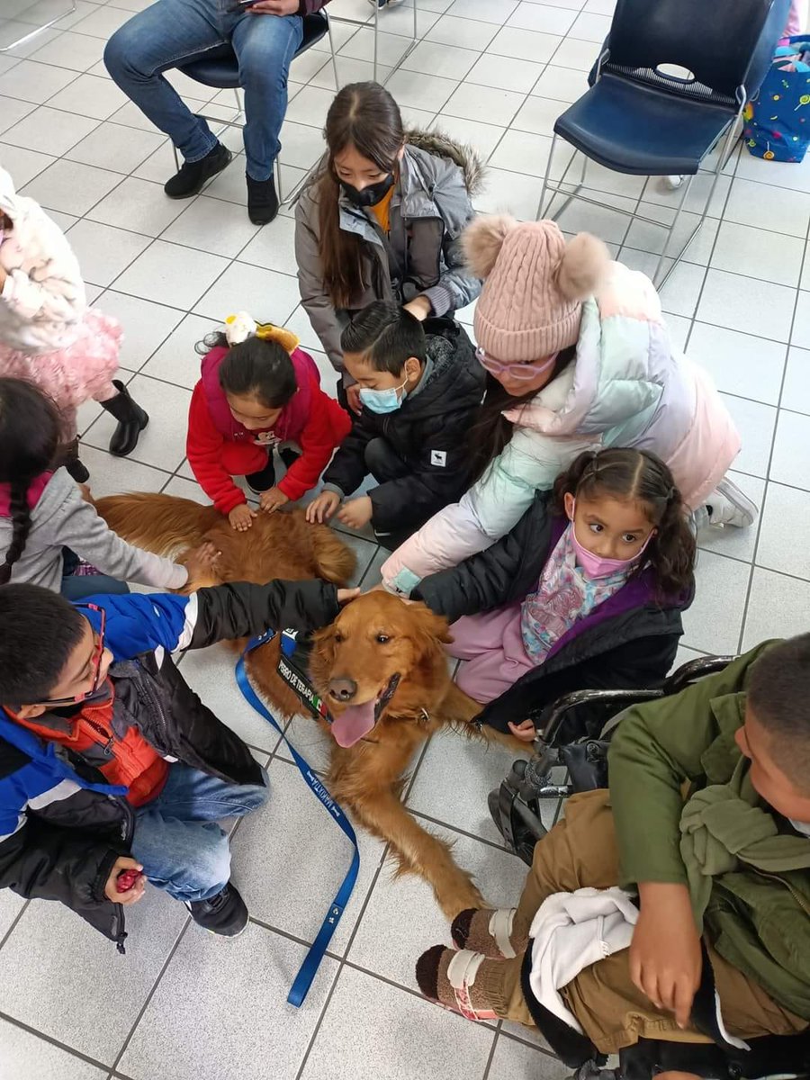 Fdn4theChildren's tweet photo. Check out our latest newsletter.  Read all about baby José Ángel and his path to a healthier life; the wonderful visit of an organization providing animal-assisted therapy; a very successful rehabilitation Jornada; &amp; an interesting fundraising challenge.
https://t.co/KvlBdcxY9Q https://t.co/EulhtNfpTQ