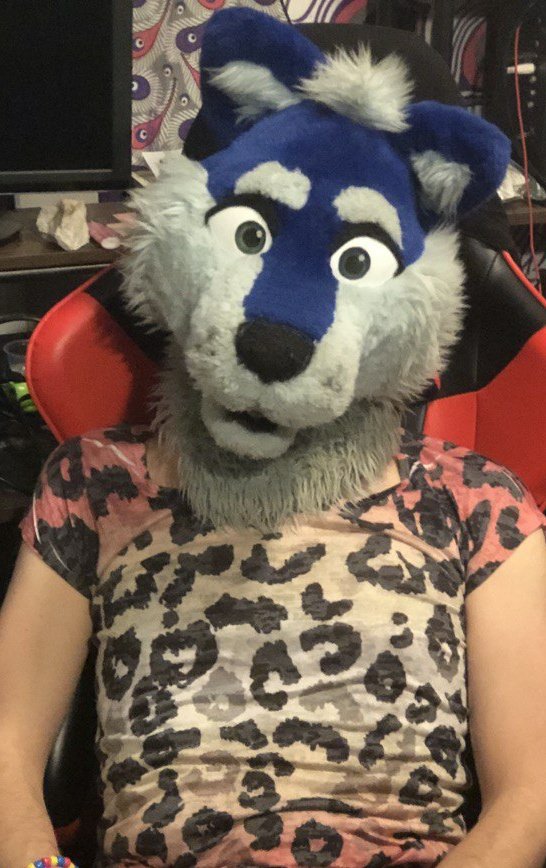 JayStarlight's tweet image. Hard at work on official furry business #FursuitFriday