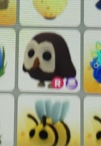 Trading owl for robux! 
I don't go first- proofs in pinned! 
Name your price if interested?