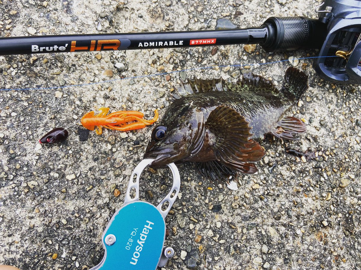 wocadaaa's tweet photo. ライトロックに来たまでは良いがロッドを忘れた。
#apia #brutehr #admirableb77mhx
#daiwa #zillionsvtw
#slpworks
#livre
#xbraid
#monsterbravez
#junglegym #beanssinker
#baitbreath #rushcraw
#gamakatsu #theorize
#釣り #fishing #ルアー #ロックフィッシュ #ライトロック #hapyson https://t.co/eFeuWCk8al