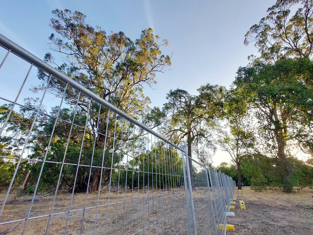 MissT2020's tweet photo. @cathywilcox1 @smh Sadly this relates to the Bunbury Outer Ring Road and the incredible FAIL GOV and EPA approval have performed. Not only for the loss of critically endangered species, but putting a freeway through a community #gelorup #pollution #extinction #environment https://t.co/dLJMqkRjv8