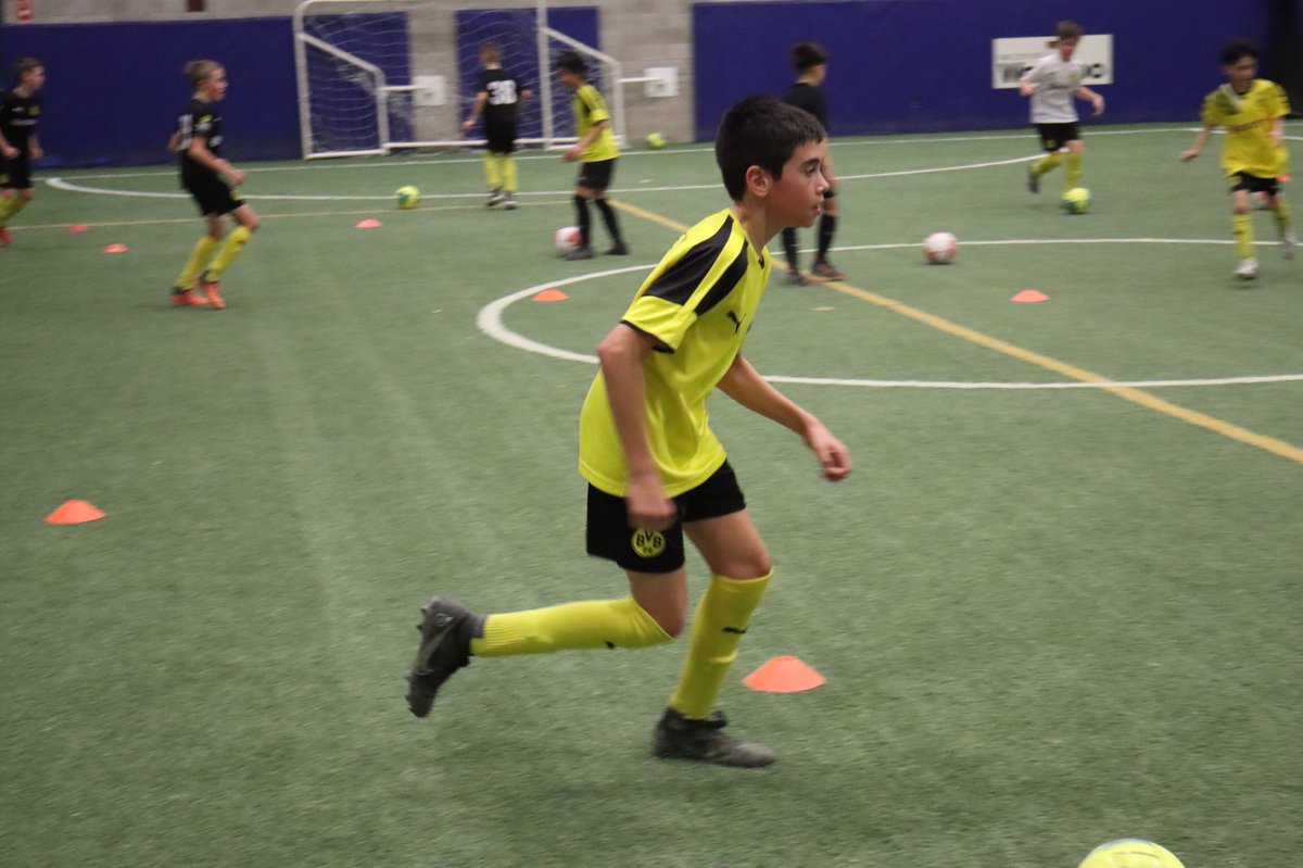 BVB IA Waterloo tweet media