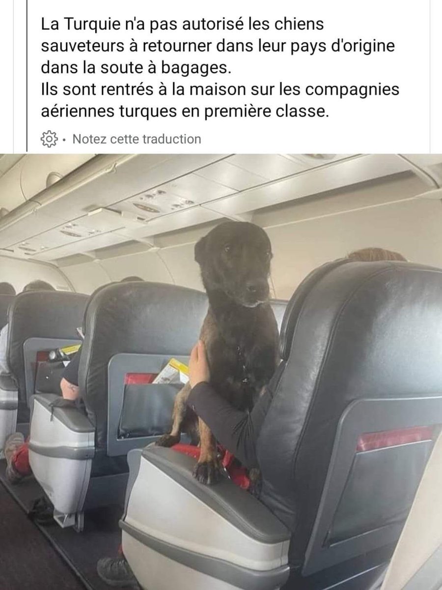 On reconnaît la valeur d’une nation à la façon dont elle traite les enfants, les animaux et les vieux …