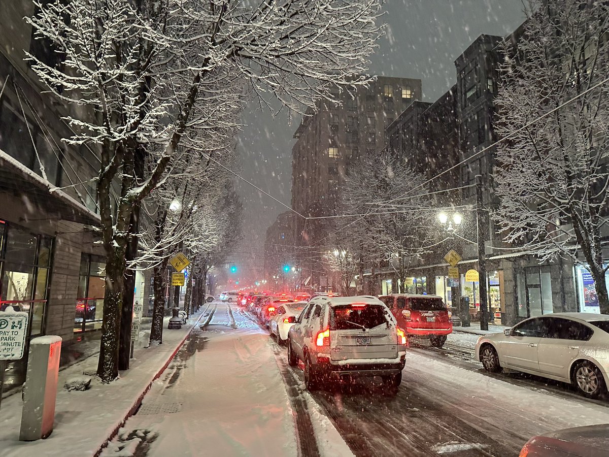 Property owner(s) and/or occupant(s) shall be liable for any and all damages to any person who is injured or otherwise suffers damage resulting from failure to remove snow and/or ice accumulations. 
#portland #pdx #portlandoregon #snow 
portland.gov/code/17/28/025