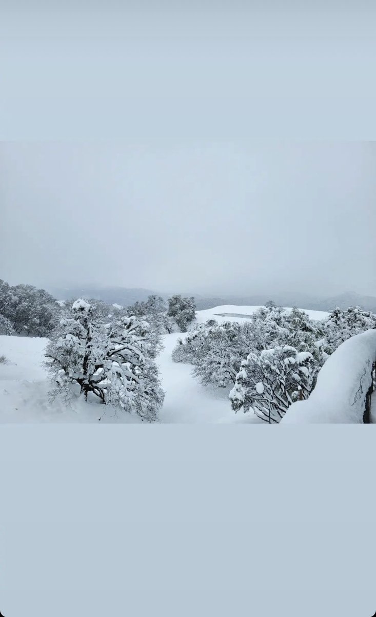 More snow in the ‘hood.  #mendocinocounty #NorCal #BellSprings