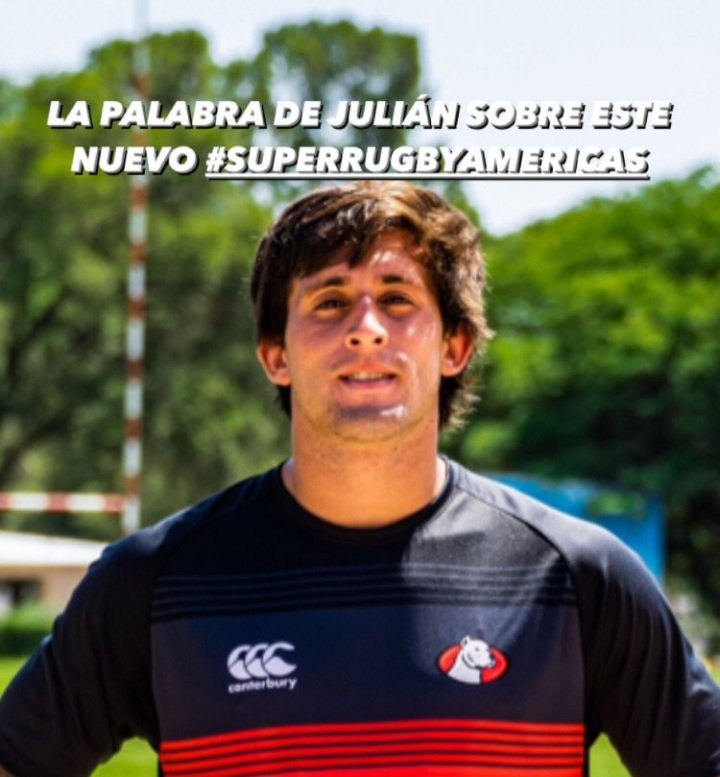 Dogos XV tweet media